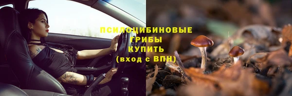 дживик Баксан