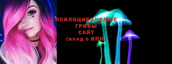 гашик Балабаново