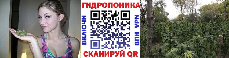 Бошки Шишки OG Kush  blacksprut как войти  Красноуфимск 